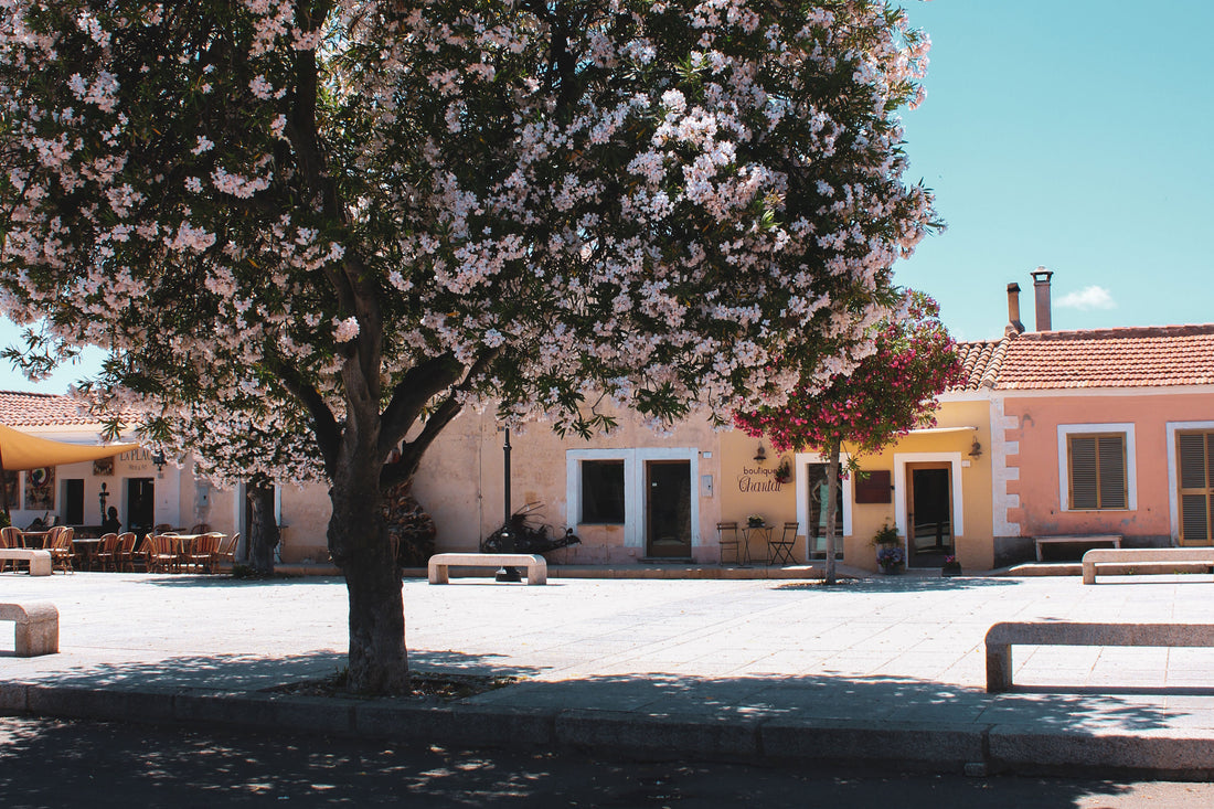 san pantaleo costa smeralda FédebyFéde